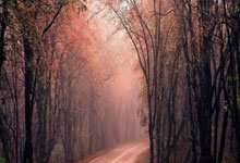 莱比锡轻取波尔图晋级欧国联半决赛