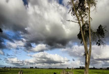 莱比锡轻取波尔图晋级欧国联半决赛