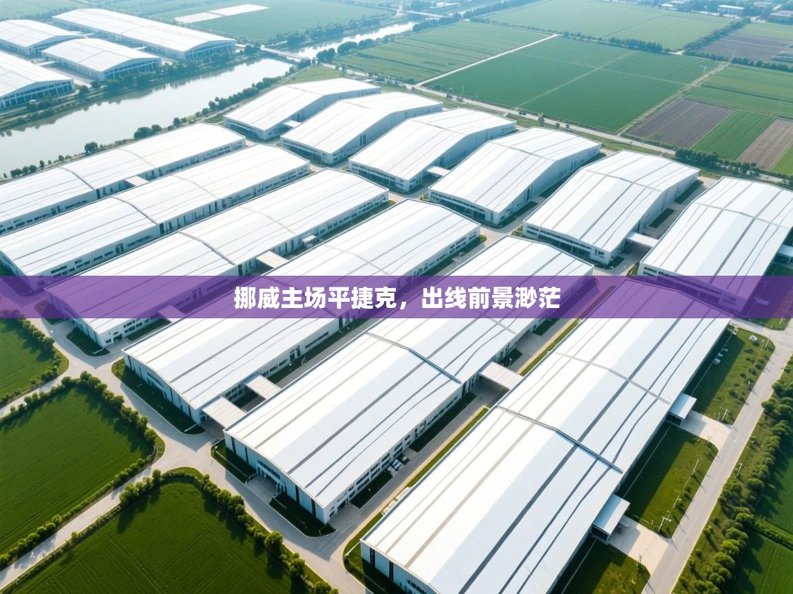 挪威主场平捷克，出线前景渺茫  第1张