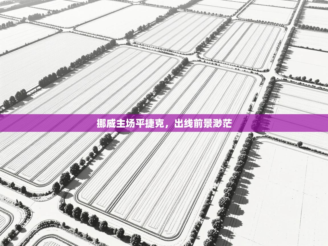 挪威主场平捷克，出线前景渺茫  第2张