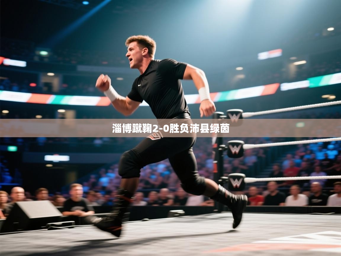 淄博蹴鞠2-0胜负沛县绿茵  第2张