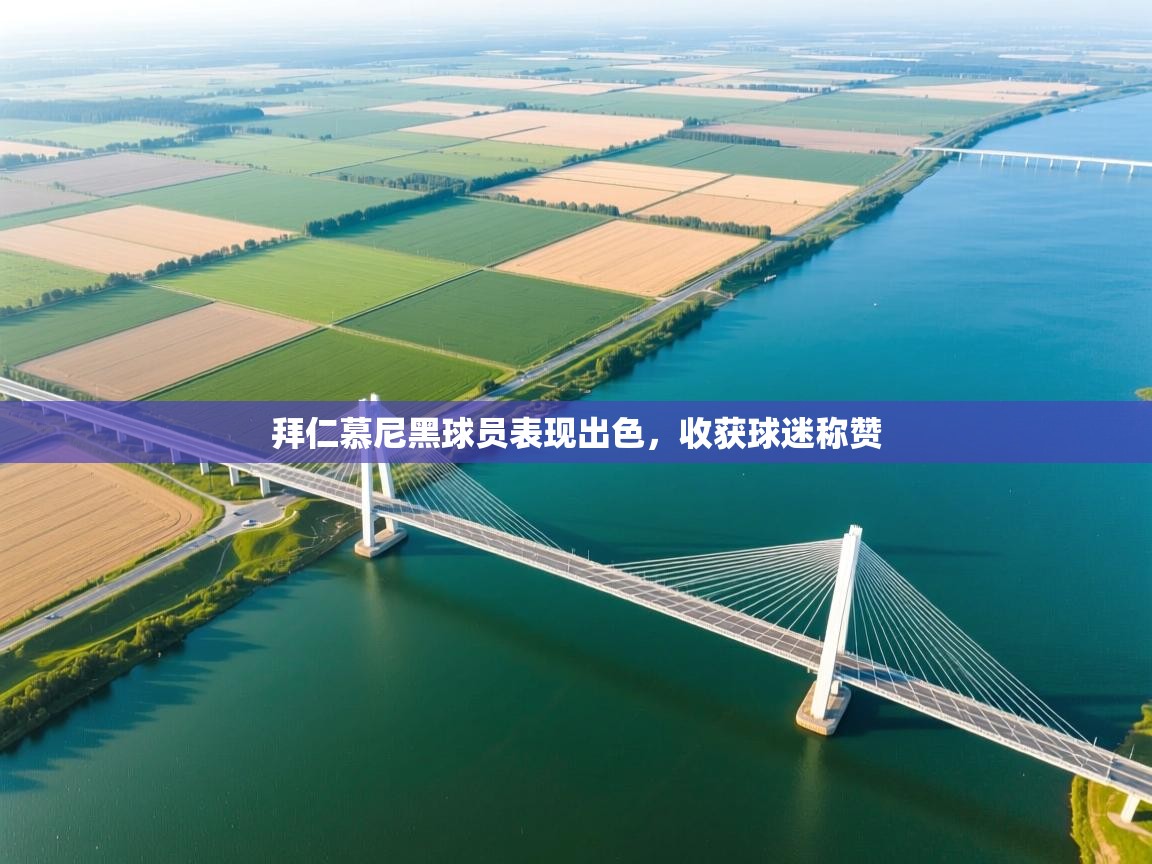 拜仁慕尼黑球员表现出色,收获球迷称赞 第1张