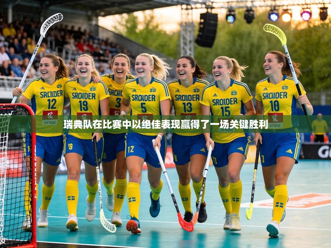瑞典队在比赛中以绝佳表现赢得了一场关键胜利 第1张